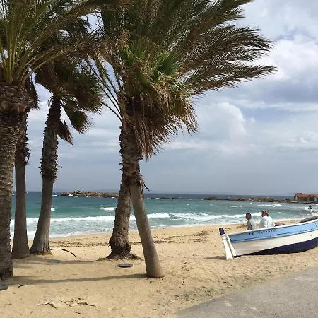 Avec Piscine Au Lavandou Dans Jardin Méditerranéen
