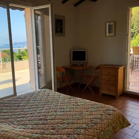 Avec Piscine Au Lavandou Dans Jardin Mediterraneen فيلة