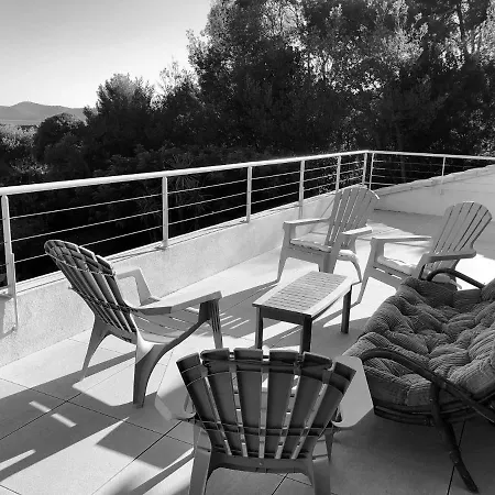 Avec Piscine Au Lavandou Dans Jardin Mediterraneen * لو لا فاندو