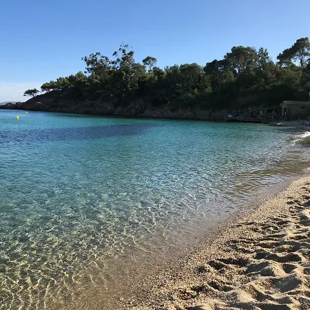 فيلة Avec Piscine Au Lavandou Dans Jardin Mediterraneen