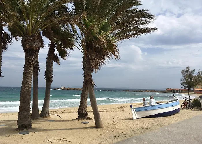 Avec Piscine Au Lavandou Dans Jardin Méditerranéen