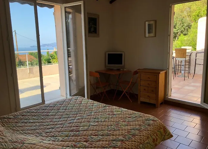 Avec Piscine Au Lavandou Dans Jardin Méditerranéen Villa