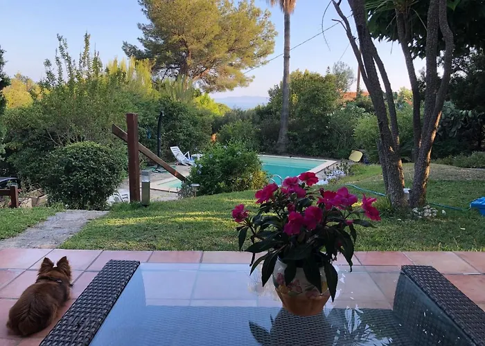 Avec Piscine Au Lavandou Dans Jardin Méditerranéen Villa Le Lavandou