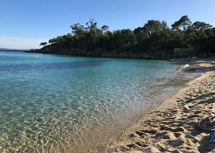 Villa Avec Piscine Au Lavandou Dans Jardin Méditerranéen