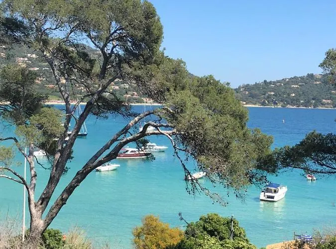 Avec Piscine Au Lavandou Dans Jardin Méditerranéen * Le Lavandou