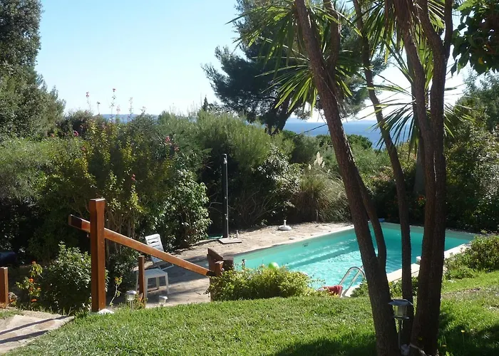 Avec Piscine Au Lavandou Dans Jardin Méditerranéen *