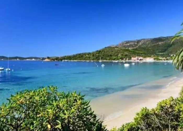 Avec Piscine Au Lavandou Dans Jardin Méditerranéen Villa *
