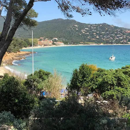 Avec Piscine Au Lavandou Dans Jardin Méditerranéen * Le Lavandou