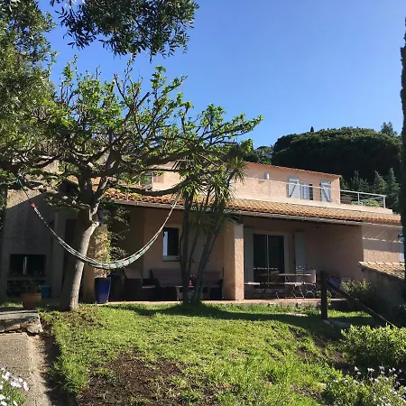 Avec Piscine Au Lavandou Dans Jardin Méditerranéen *