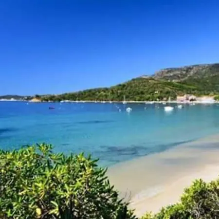 Avec Piscine Au Lavandou Dans Jardin Méditerranéen Villa *