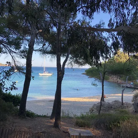 Avec Piscine Au Lavandou Dans Jardin Méditerranéen Le Lavandou