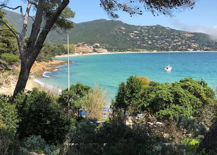 Avec Piscine Au Lavandou Dans Jardin Mediterraneen * Le Lavandou