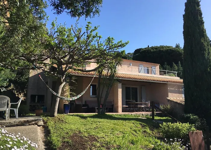 Avec Piscine Au Lavandou Dans Jardin Mediterraneen *