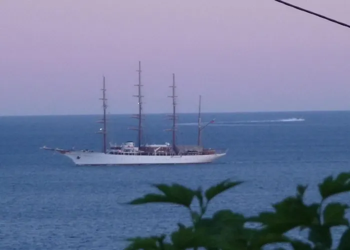 Villa Avec Piscine Au Lavandou Dans Jardin Mediterraneen *