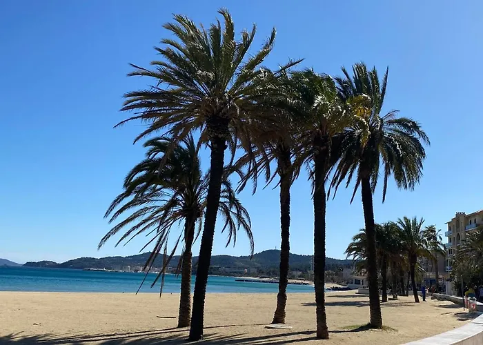 Avec Piscine Au Lavandou Dans Jardin Mediterraneen *