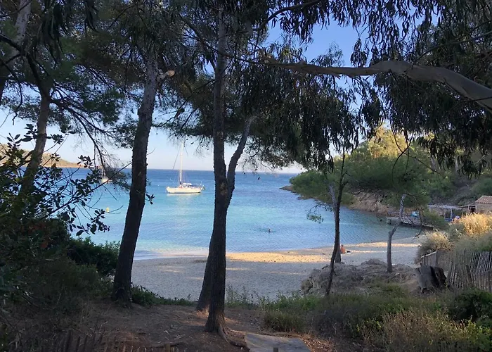 Avec Piscine Au Lavandou Dans Jardin Mediterraneen Le Lavandou